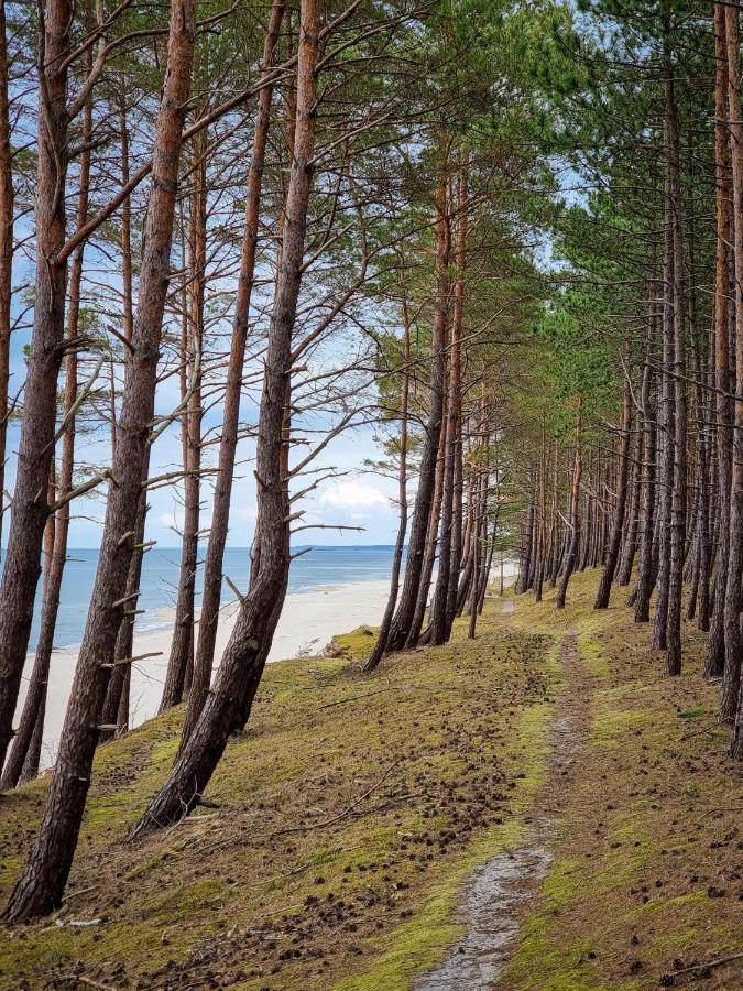 Caloroczny Nad Morzem Stegna Baltica
